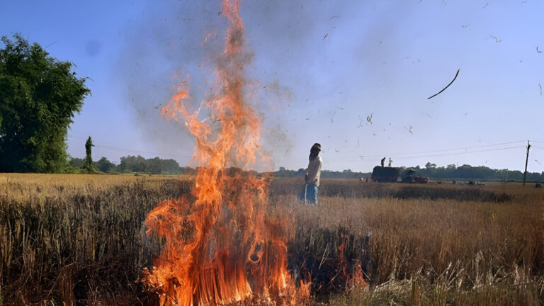 Manipur: Farmer Burnt Alive in Stubble Fire in Imphal