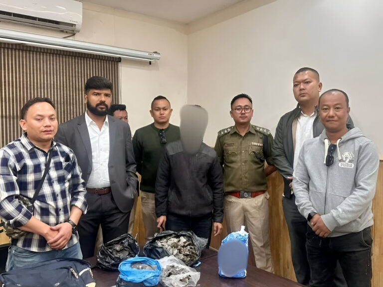 Manipur Wildlife Trafficking: Arrest in Imphal Over Pangolin Scales