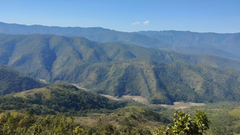 The Shrinking Forests of Manipur: A Looming Environmental Crisis