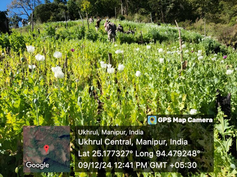 Manipur’s Crackdown on Poppy Cultivation: A Step Towards a Drug-Free State