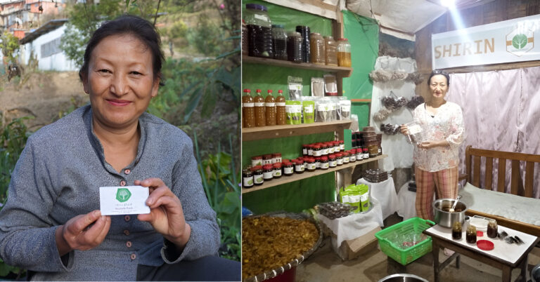 The Inspiring Journey of Yangmila Zimik: Single Mother Turned Entrepreneur in Manipur