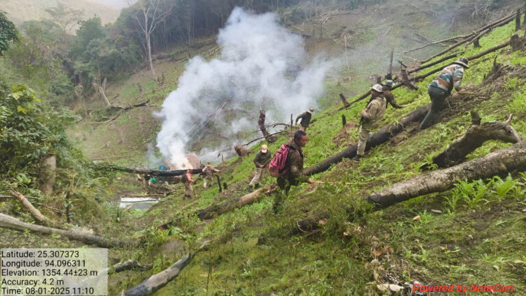 Manipur Security Forces Eradicate 19 Acres of Poppy Plantation in Senapati District