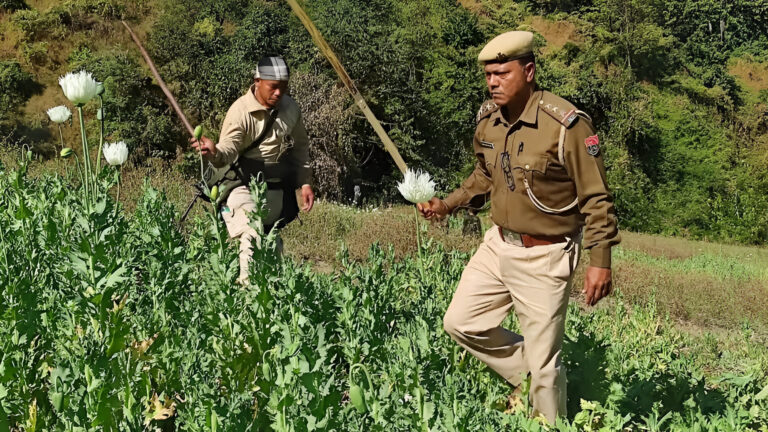 Manipur’s Ongoing Battle Against Illegal Poppy Cultivation in Kangpokpi