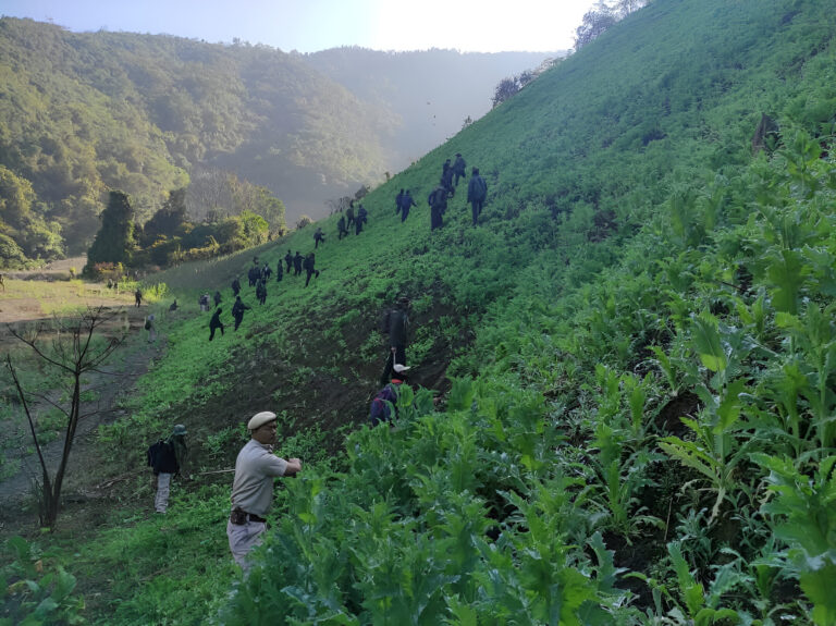 Manipur: 35 Acres of Illegal Poppy Cultivation Destroyed in Lhungjang Village