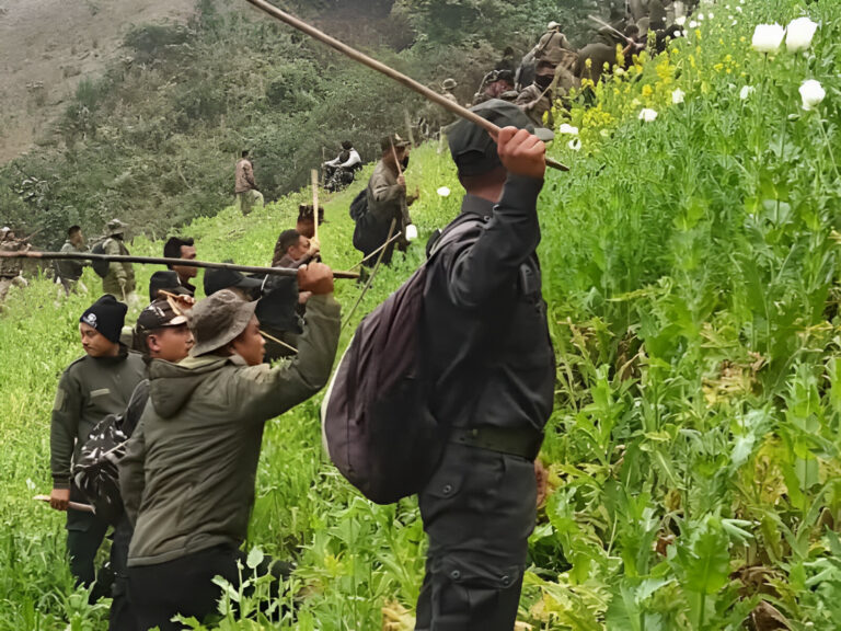 Manipur: Kuki Inpi Takes a Stand Against Illegal Poppy Cultivation