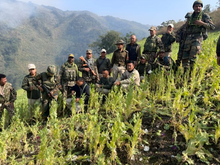 Security Forces Strike Back: Destroying Illicit Poppy Cultivation and Arresting a Suspect with Banned Drugs