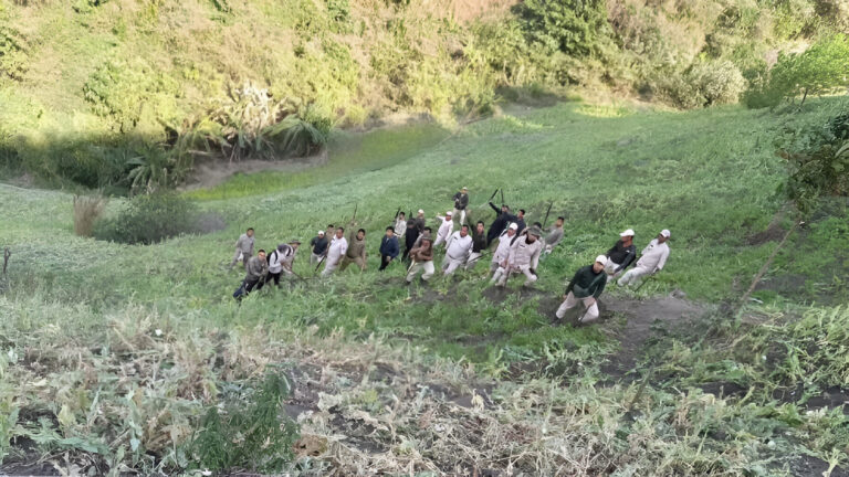 Manipur Security Forces Destroy 5 Acres of Illicit Poppy Cultivation in Churachandpur: A Triumph in the Fight Against Drugs