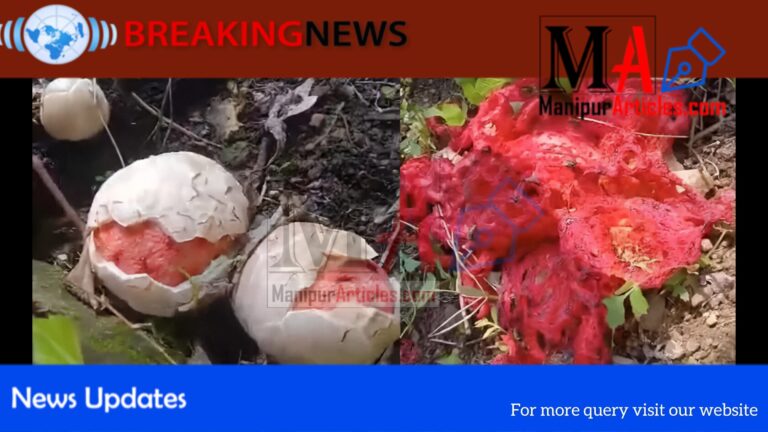 Rare Wildflower Found in Manipur’s Tamenglong Forest: Why It Matters for Biodiversity, Culture & Eco-Tourism