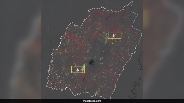 Satellite Data Shows Manipur Lost 52,000 Acres Of Forest In 4 Four Years