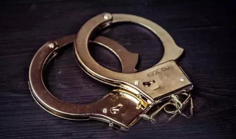 Manipur Cybercrime Police Arrest Two for Spreading Fake School Holiday Order