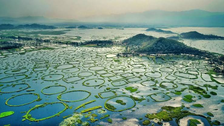 Manipur’s Loktak Lake on the Brink: Rising Pollution Threatens Iconic Wetland