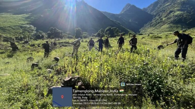 Manipur Security Forces Destroy 20 Acres of Illegal Poppy Plantations in Kangpokpi District