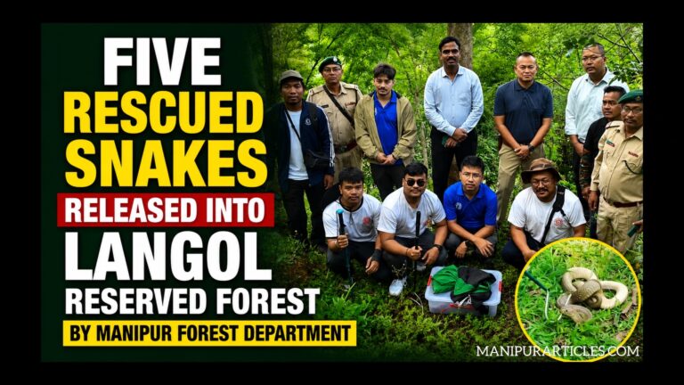 Five Rescued Snakes Released into Langol Reserved Forest by Manipur Forest Department