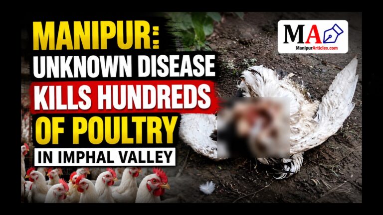 Manipur: Unknown Disease Kills Hundreds of Poultry in Imphal Valley