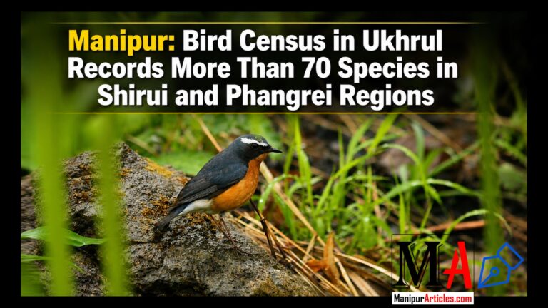 Manipur: Bird Census in Ukhrul Records 73 Species and 803 Birds in Shirui, Phangrei
