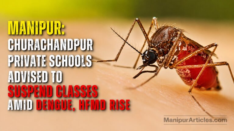 Manipur: Churachandpur Private Schools Advised to Suspend Classes Amid Dengue, HFMD Rise