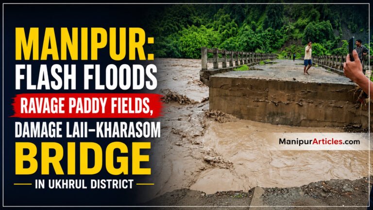 Manipur: Flash Floods Ravage Paddy Fields, Damage Laii–Kharasom Bridge in Ukhrul District